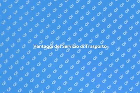 Servizio di Trasporto Professionale