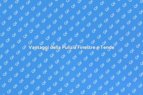 Pulizia Finestre con Tende Integrate