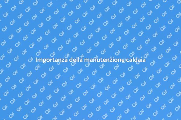 Perché manutenzionare la caldaia a biomassa