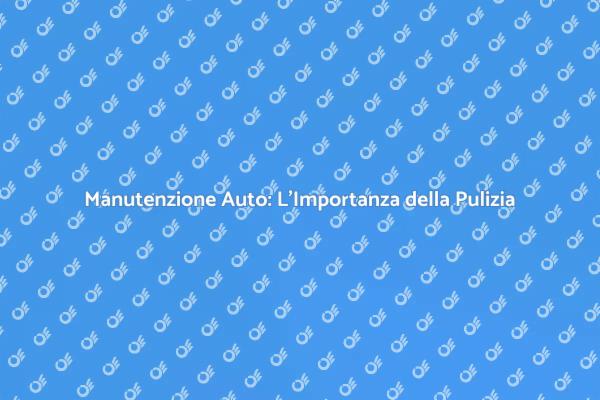 Pulizia Veicoli: Un Servizio Essenziale