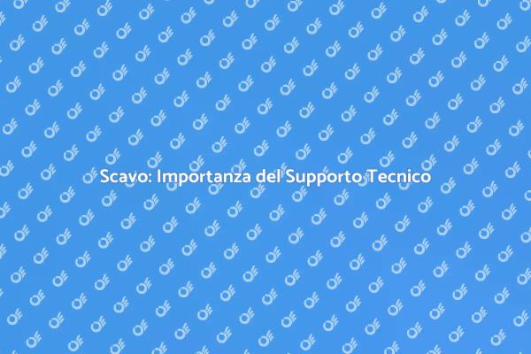 Supporto Tecnico: Chiave del Successo