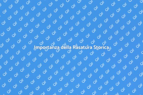 L'Arte della Rasatura Edifici Storici