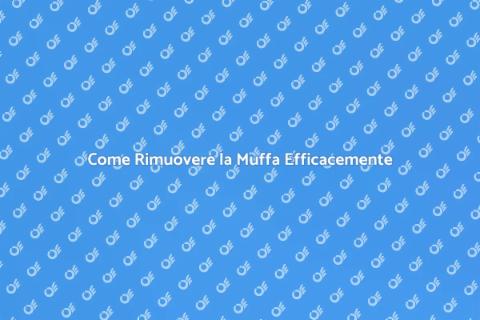 Rimozione della Muffa: Guida Pratica