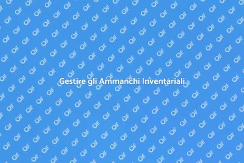 Ammanchi Inventariali: Guida Completa