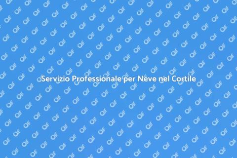 Rimozione Neve dal Cortile Efficace