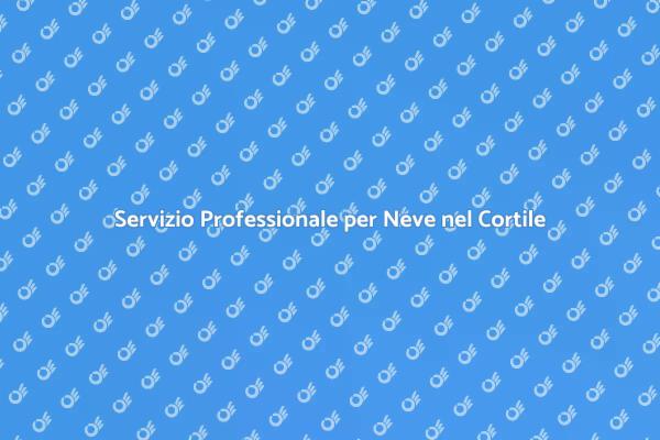 Mantieni il Tuo Cortile Libero dalla Neve