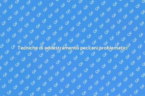 Addestramento cani: soluzione per problemi