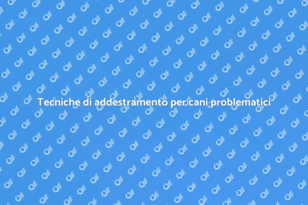 Addestramento cani: affronta i problemi