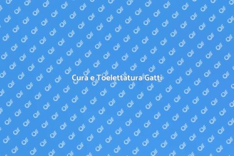 Toelettatura Completa per Gatti