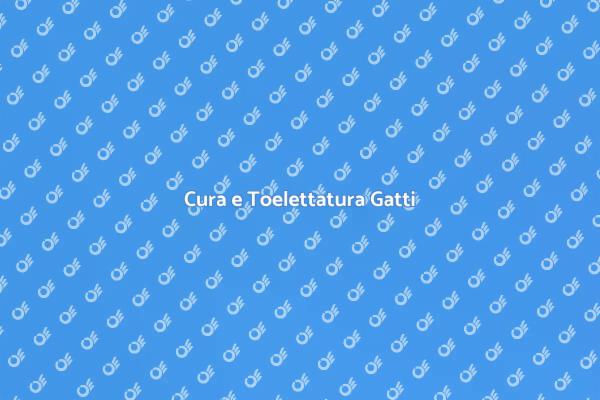 Perché Toelettare il Tuo Gatto