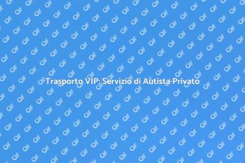 Autista Privato per VIP e Celebrity
