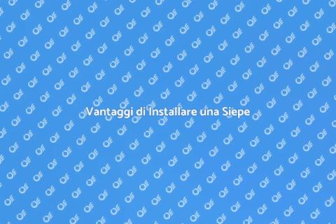 Installare una Siepe nel Giardino