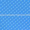 Progettazione Efficiente di Fognature