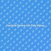 Goditi il Natale con il Dog Sitting