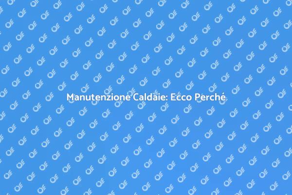 Assistenza Professionale per Caldaie