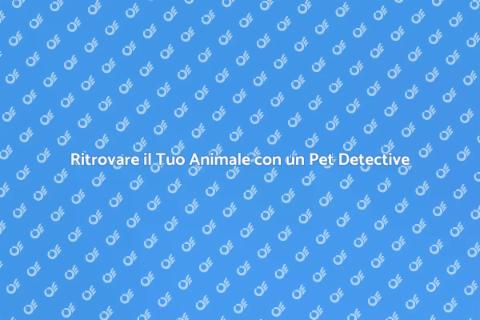 Pet Detective: Come Trovarlo