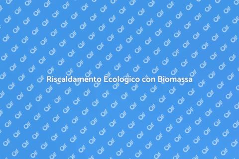 Caldaia a Biomassa Efficiente