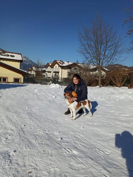 Studentessa pet sitter - Foto 3