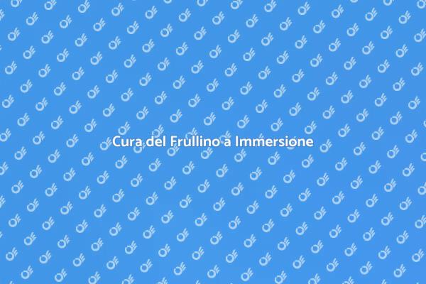 Come Mantenere il Frullino a Immersione
