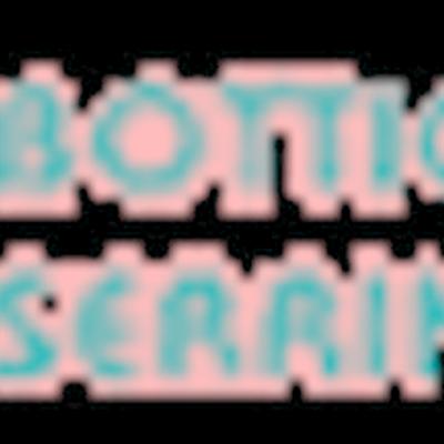 Bottici R. e Serrini S.