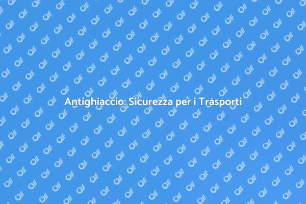 Sicurezza Invernale nei Trasporti Pubblici