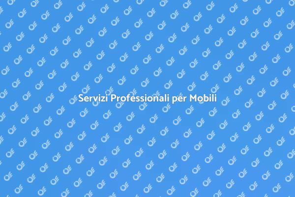 Efficiente Trasporto e Deposito Mobili
