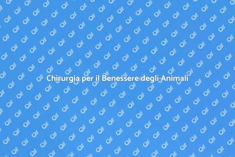 Chirurgia per Animali Domestici