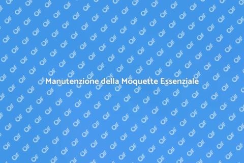 Pulizia Completa della Moquette