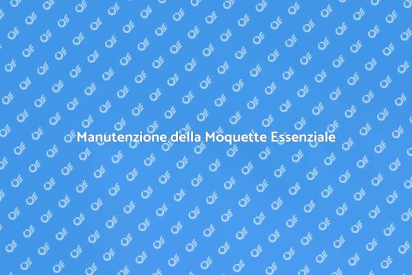 Come Mantenere la Moquette Pulita