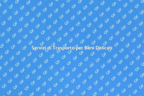 Trasporto Specializzato Sicuro e Affidabile