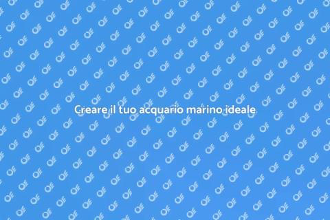 Installazione acquario marino perfetta