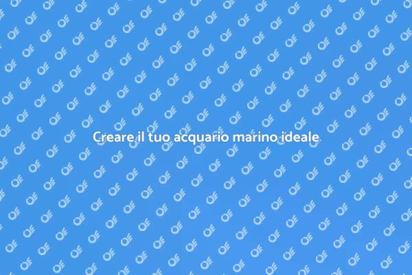 Trasforma la tua casa con un acquario