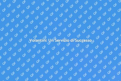 Distribuzione Volantini: Raggiungi Clienti