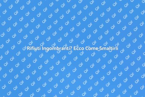 Smaltire Rifiuti Ingombranti: Guida