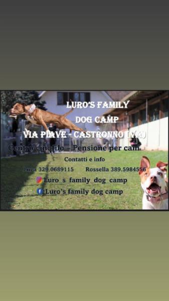 Luca Di Bitetto - Foto 4