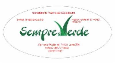 Vivaio Sempre Verde  - Foto 1