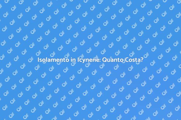 Investire in Isolamento Icynene