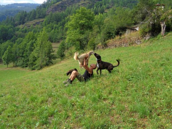 dogsitting, gruppi di dogtrekking e socializzazioni - Foto 29