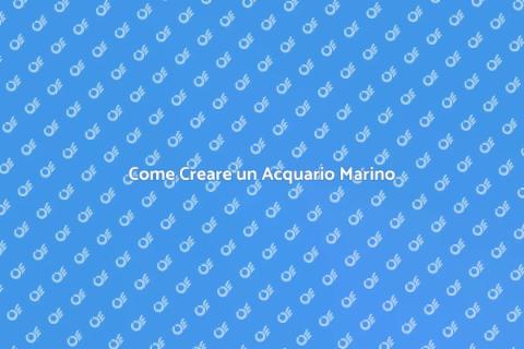 Allestire un Acquario Marino