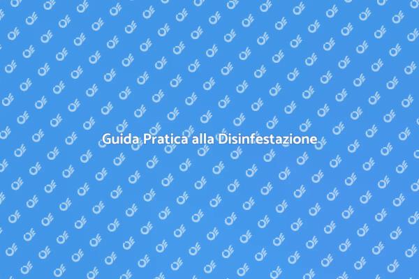 Liberati dagli Scarafaggi Oggi!