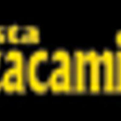 Spazzacamino Fumista Troian Michele