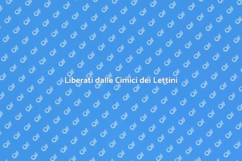Disinfestazione dalle Cimici Efficace