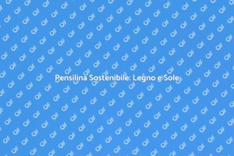Pensilina in Legno con Pannelli Solari