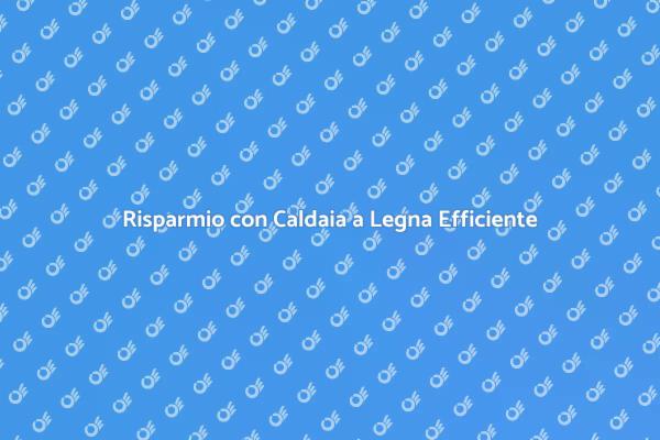 Caldaia a Legna: Risparmio Energetico