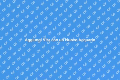 Un Nuovo Acquario per la Tua Casa