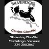 Elisa Silverdog centro cinofilo s. E.