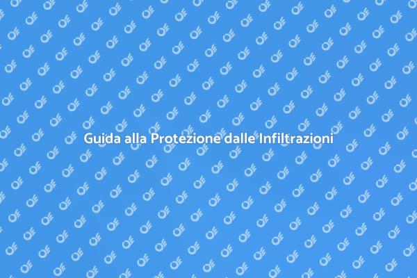 Evita le Infiltrazioni in Casa!