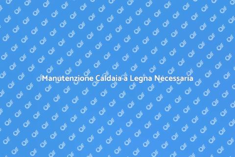 Revisione Caldaia a Legna Essenziale