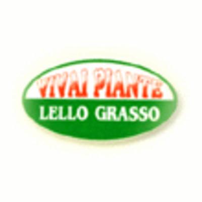 Vivai Piante Lello Grasso  - Foto 1