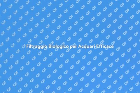 Sistema di Filtraggio Biologico Acquario
